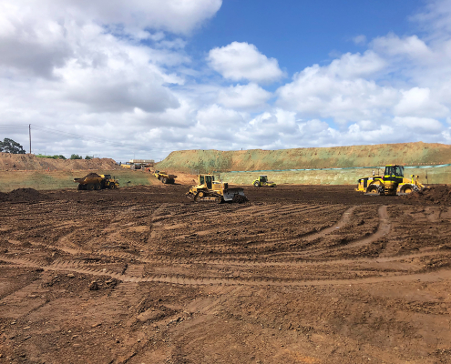 project5-pic1 Project 5 Prospect Kaufland Supermarket
